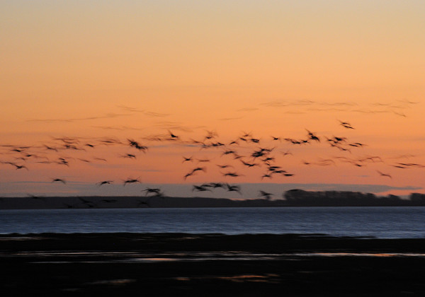 Naturfotografie //   nature photography